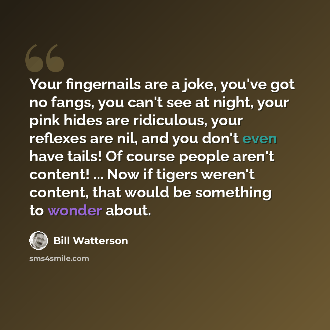 “Your fingernails are a joke, you've got no fangs, you can't see at night, your pink hides are ridiculous, your reflexes are nil, and you don't even have tails! Of course people aren't content! ... Now if tigers weren't content, that would be something to wonder about.” quote by Bill Watterson