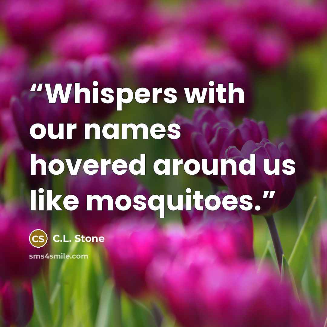 “Whispers with our names hovered around us like mosquitoes.” quote by C.L. Stone