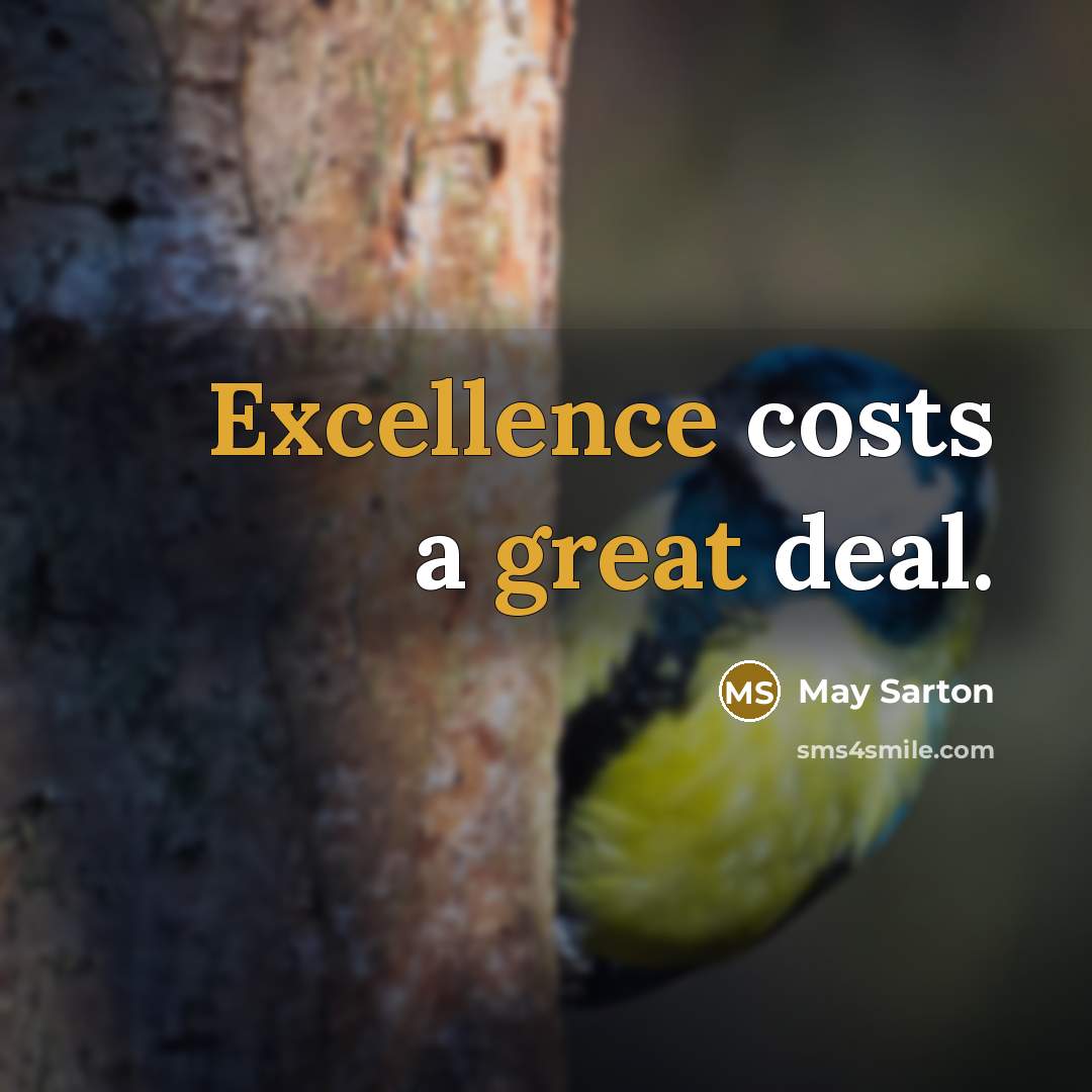 “Excellence costs a great deal.” quote by May Sarton