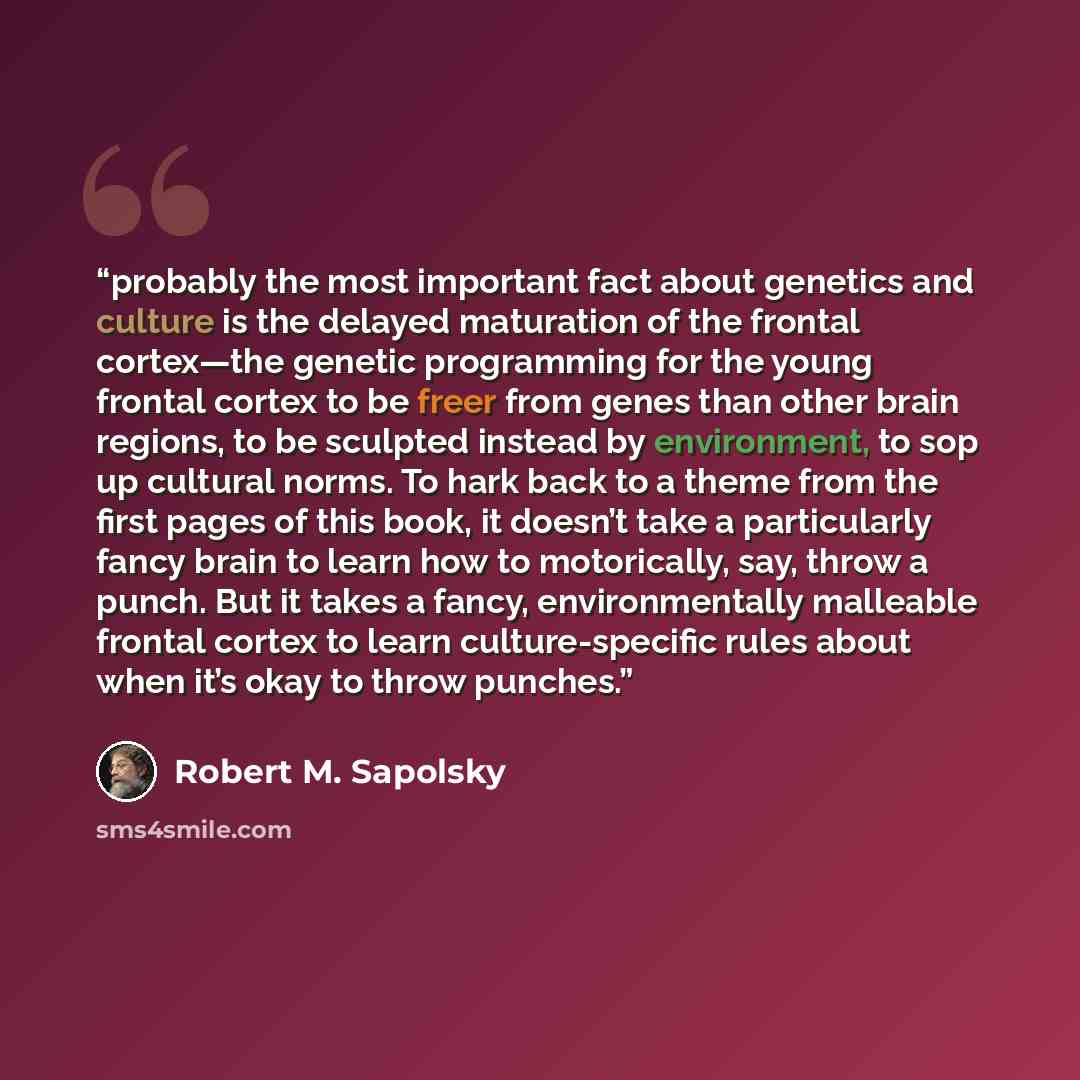 “probably the most important fact about genetics and culture is the delayed maturation of the frontal cortex—the genetic programming for the young frontal cortex to be freer from genes than other brain regions, to be sculpted instead by environment, to sop up cultural norms. To hark back to a theme…” quote by Robert M. Sapolsky