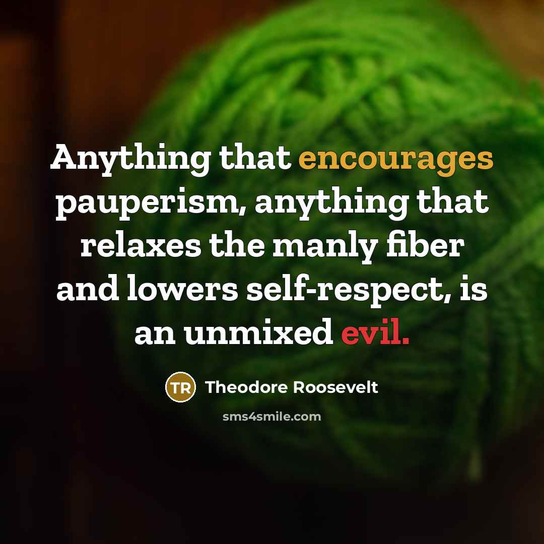 “Anything that encourages pauperism, anything that relaxes the manly fiber and lowers self-respect, is an unmixed evil.” quote by Theodore Roosevelt