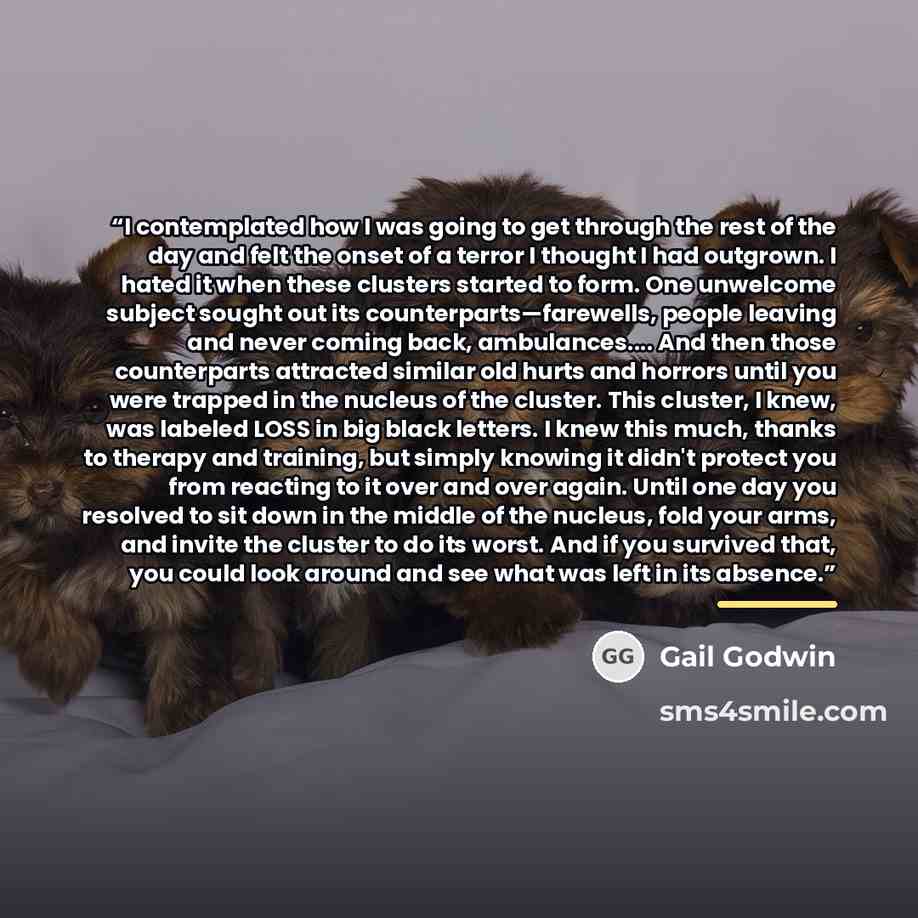 “I contemplated how I was going to get through the rest of the day and felt the onset of a terror I thought I had outgrown. I hated it when these clusters started to form. One unwelcome subject sought out its counterparts—farewells, people leaving and never coming back, ambulances… And then those…” quote by Gail Godwin