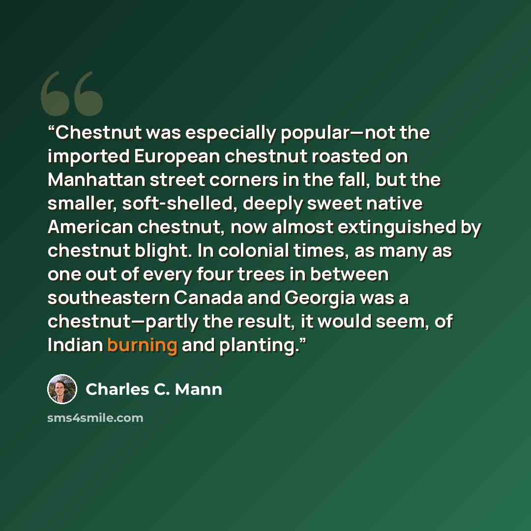 “Chestnut was especially popular—not the imported European chestnut roasted on Manhattan street corners in the fall, but the smaller, soft-shelled, deeply sweet native American chestnut, now almost extinguished by chestnut blight. In colonial times, as many as one out of every four trees in between…” quote by Charles C. Mann