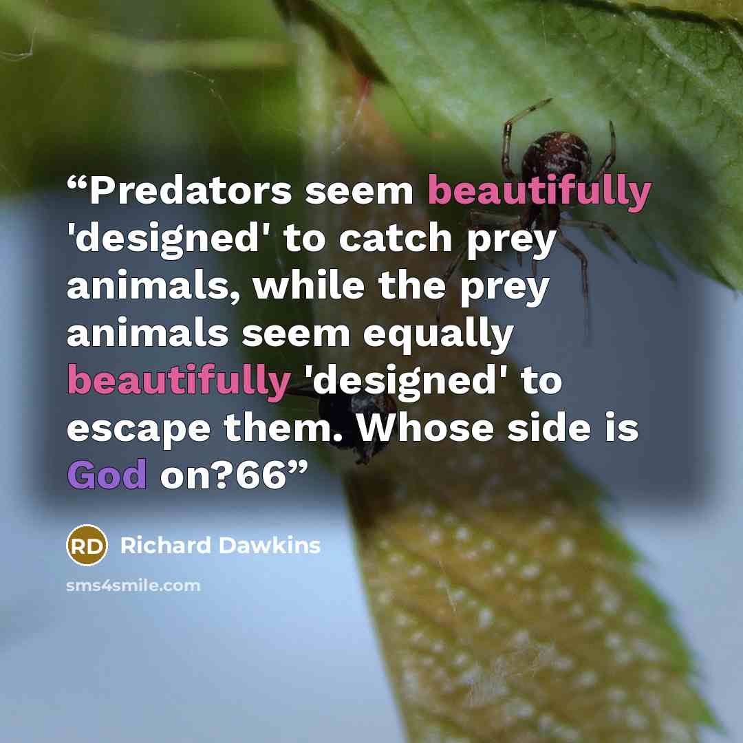 “Predators seem beautifully 'designed' to catch prey animals, while the prey animals seem equally beautifully 'designed' to escape them. Whose side is God on?66” quote by Richard Dawkins