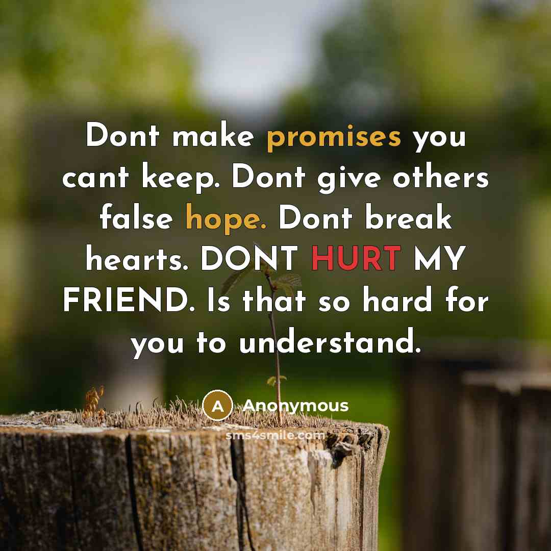 “Dont make promises you cant keep. Dont give others false hope. Dont break hearts. DONT HURT MY FRIEND. Is that so hard for you to understand.” quote by Anonymous