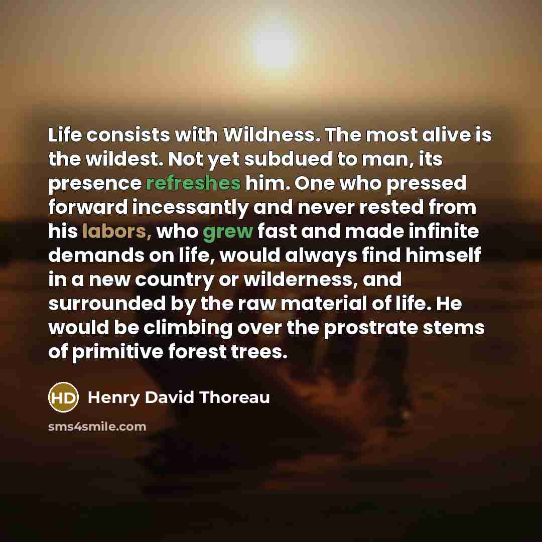 “Life consists with Wildness. The most alive is the wildest. Not yet subdued to man, its presence refreshes him. One who pressed forward incessantly and never rested from his labors, who grew fast and made infinite demands on life, would always find himself in a new country or wilderness, and…” quote by Henry David Thoreau