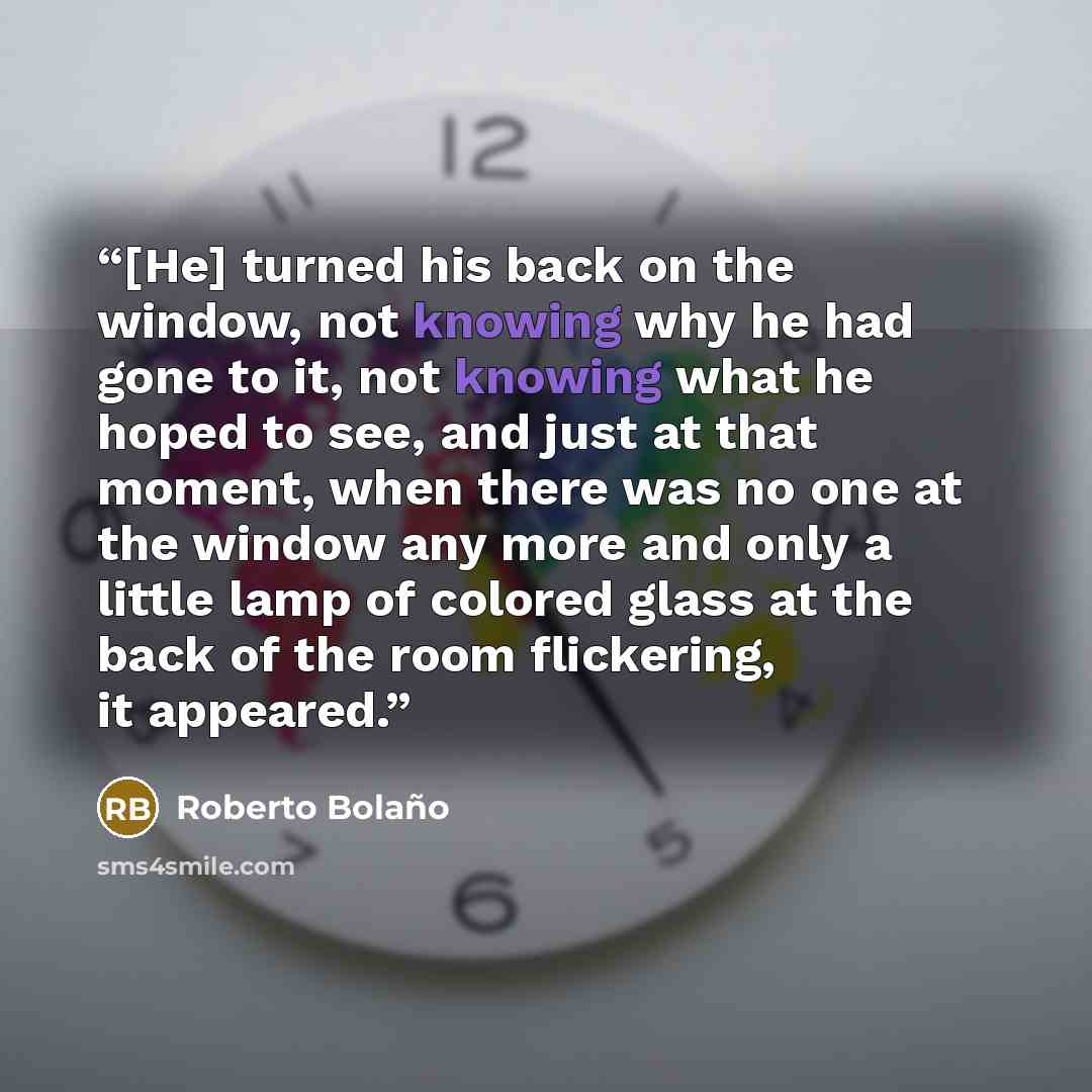 “[He] turned his back on the window, not knowing why he had gone to it, not knowing what he hoped to see, and just at that moment, when there was no one at the window any more and only a little lamp of colored glass at the back of the room flickering, it appeared.” quote by Roberto Bolaño
