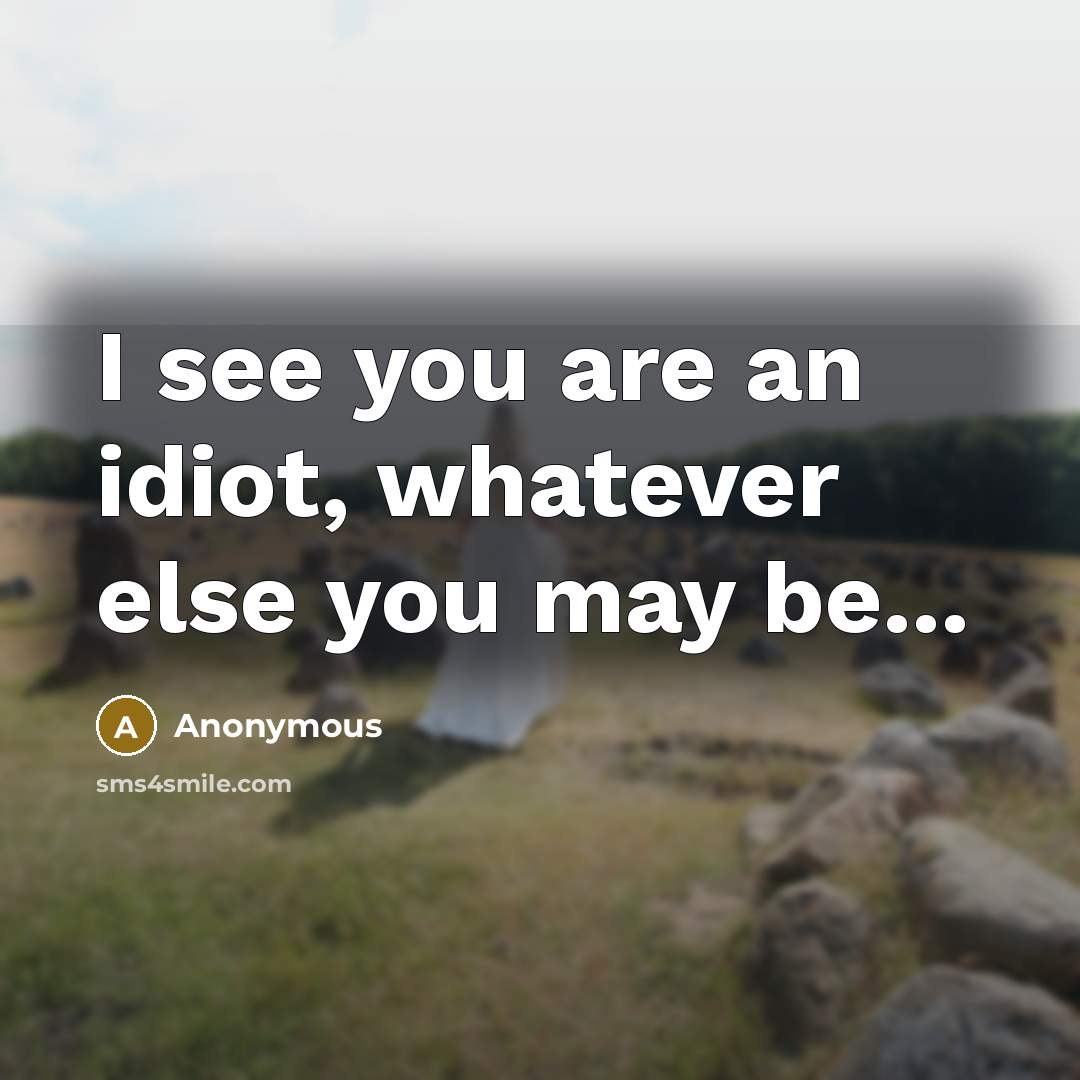 “I see you are an idiot, whatever else you may be...” quote by Anonymous