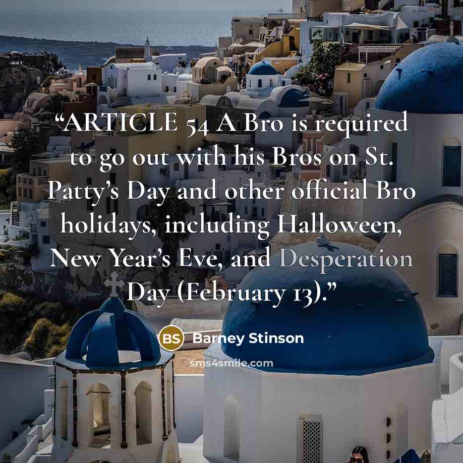“ARTICLE 54 A Bro is required to go out with his Bros on St. Patty’s Day and other official Bro holidays, including Halloween, New Year’s Eve, and Desperation Day (February 13).” quote by Barney Stinson
