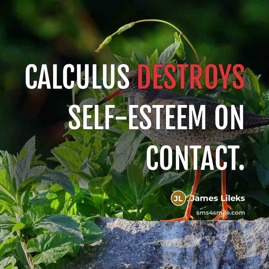 “Calculus destroys self-esteem on contact.” quote by James Lileks