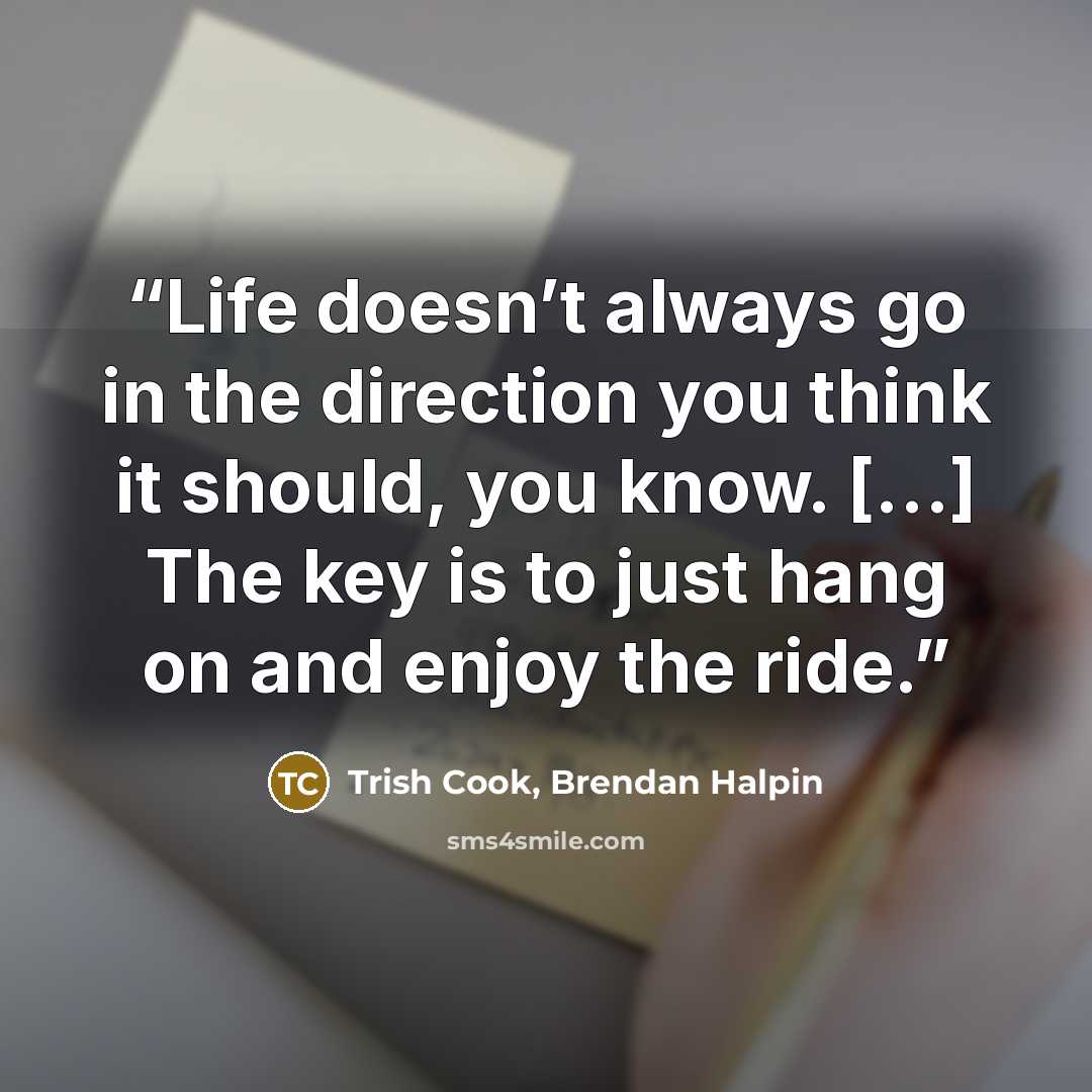 “Life doesn’t always go in the direction you think it should, you know. […] The key is to just hang on and enjoy the ride.” quote by Trish Cook, Brendan Halpin