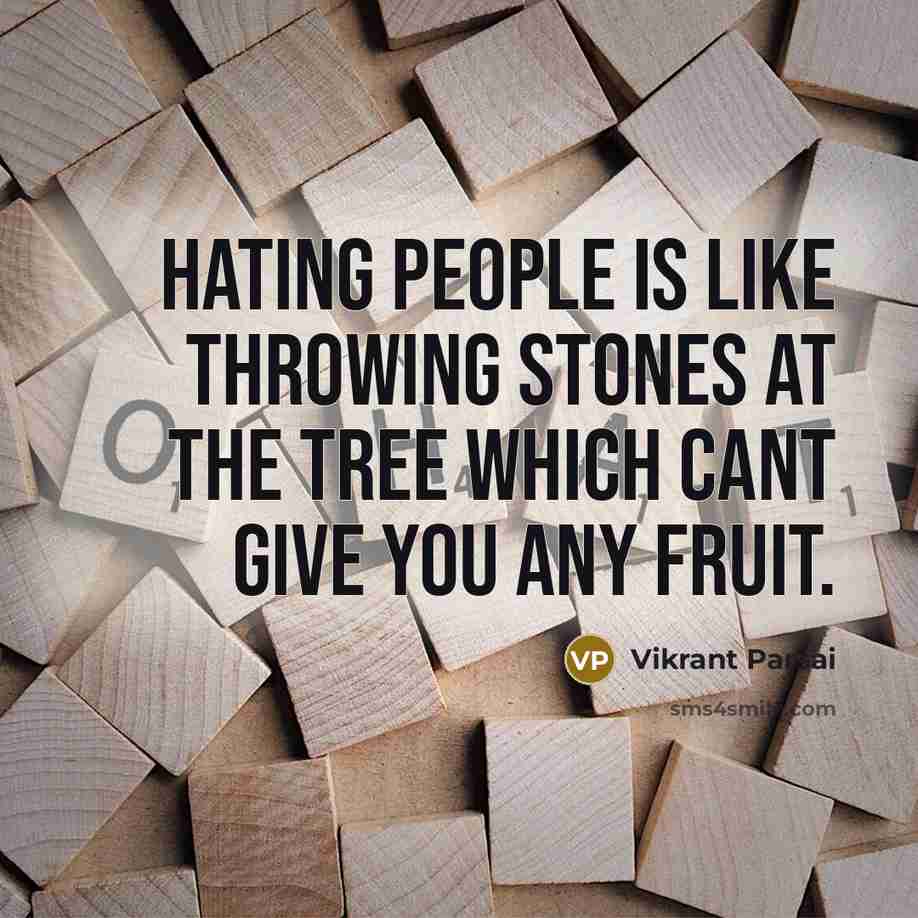 “Hating people is like throwing stones at the tree which cant give you any fruit.” quote by Vikrant Parsai