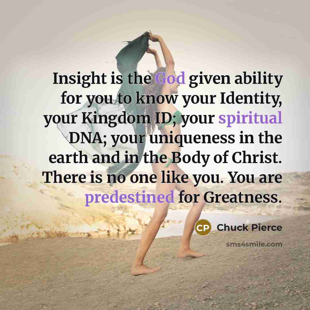 “Insight is the God given ability for you to know your Identity, your Kingdom ID; your spiritual DNA; your uniqueness in the earth and in the Body of Christ. There is no one like you. You are predestined for Greatness.” quote by Chuck Pierce