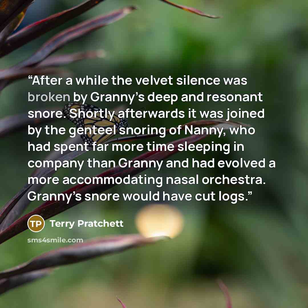 “After a while the velvet silence was broken by Granny’s deep and resonant snore. Shortly afterwards it was joined by the genteel snoring of Nanny, who had spent far more time sleeping in company than Granny and had evolved a more accommodating nasal orchestra. Granny’s snore would have cut logs.” quote by Terry Pratchett
