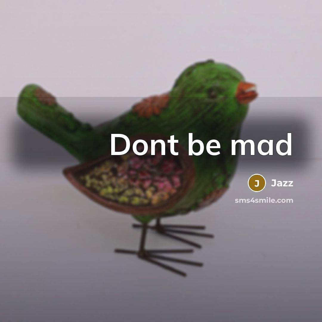 “Dont be mad” quote by Jazz