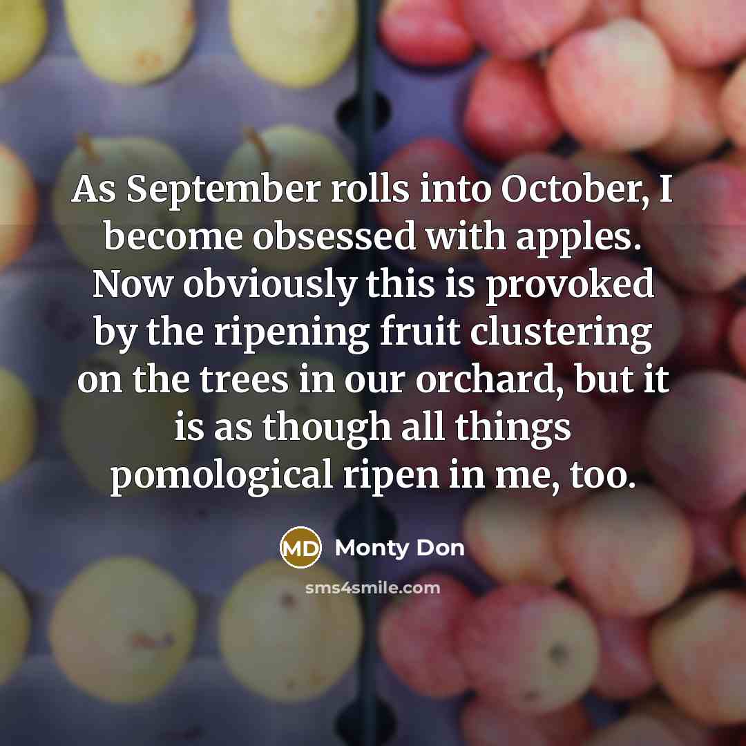 “As September rolls into October, I become obsessed with apples. Now obviously this is provoked by the ripening fruit clustering on the trees in our orchard, but it is as though all things pomological ripen in me, too.” quote by Monty Don