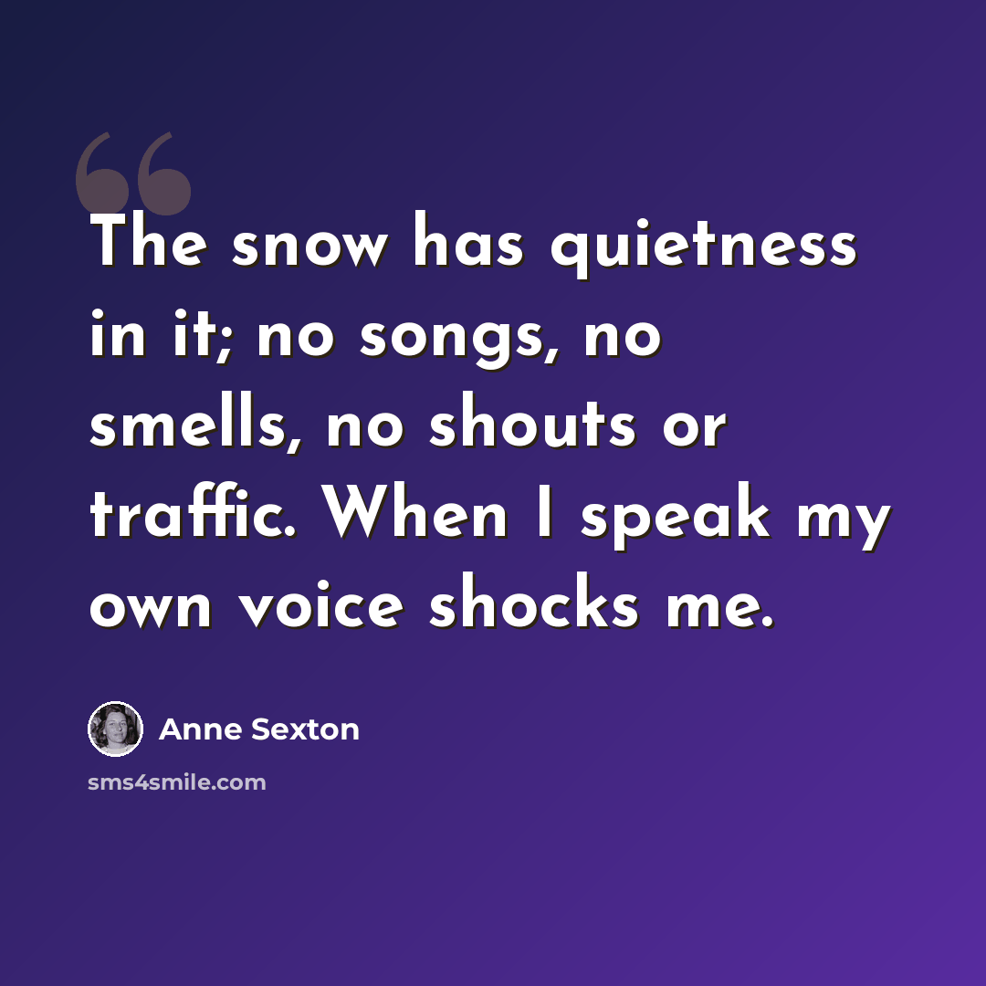 “The snow has quietness in it; no songs, no smells, no shouts or traffic. When I speak my own voice shocks me.” quote by Anne Sexton