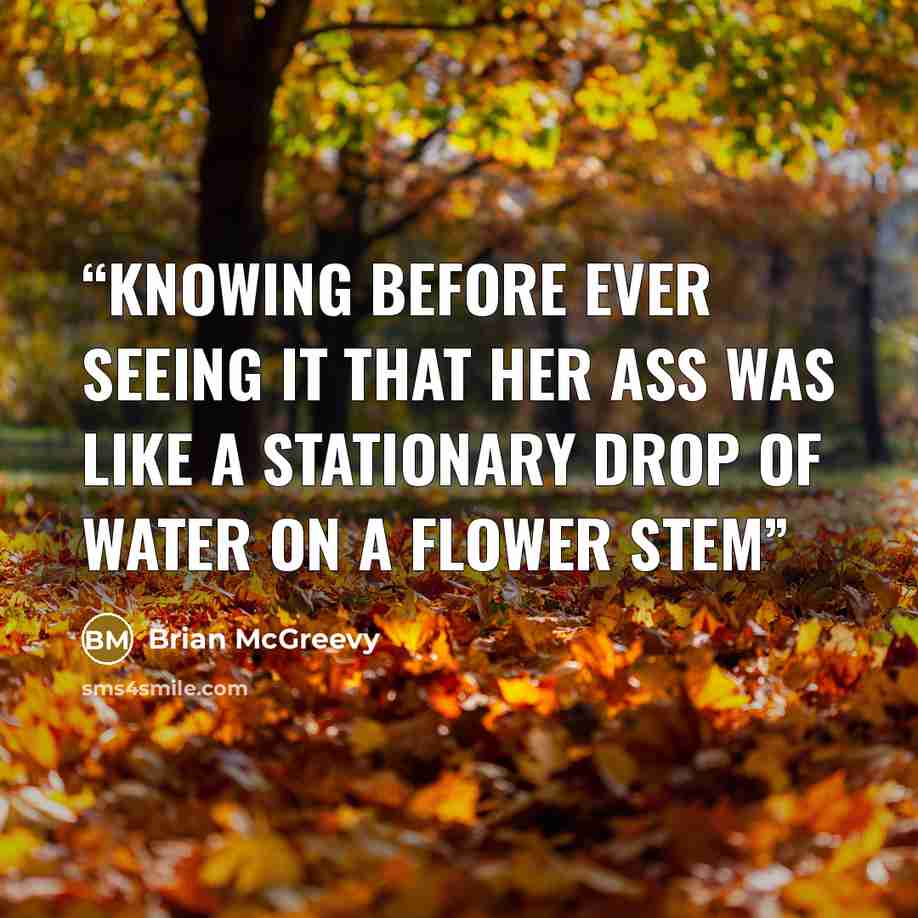 “Knowing before ever seeing it that her ass was like a stationary drop of water on a flower stem” quote by Brian McGreevy