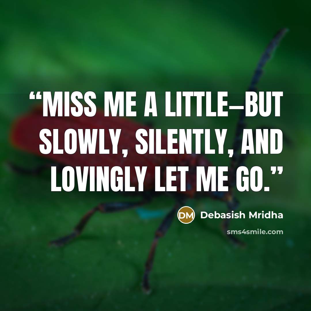 “Miss me a little—but slowly, silently, and lovingly let me go.” quote by Debasish Mridha
