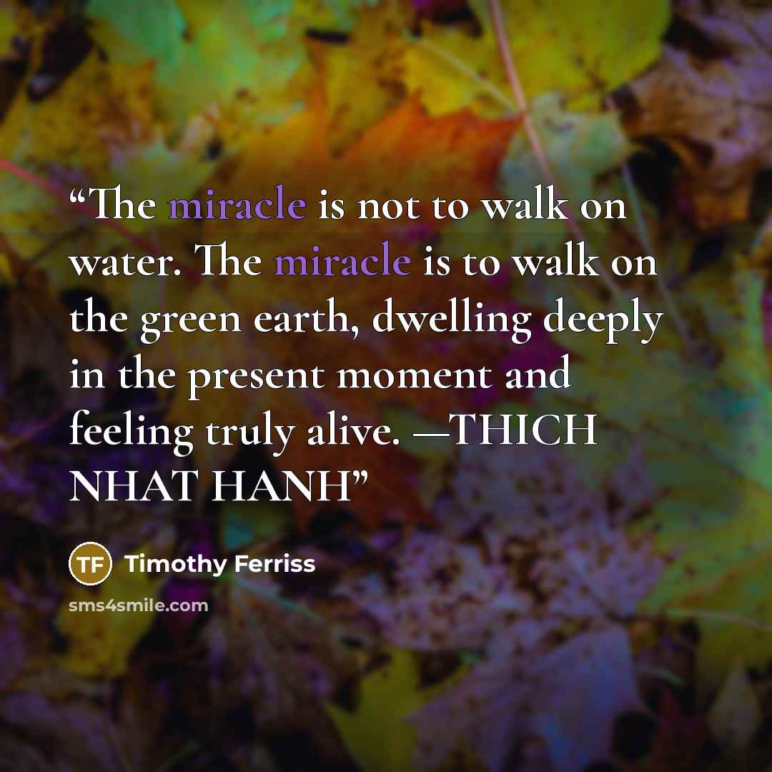 “The miracle is not to walk on water. The miracle is to walk on the green earth, dwelling deeply in the present moment and feeling truly alive. —THICH NHAT HANH” quote by Timothy Ferriss