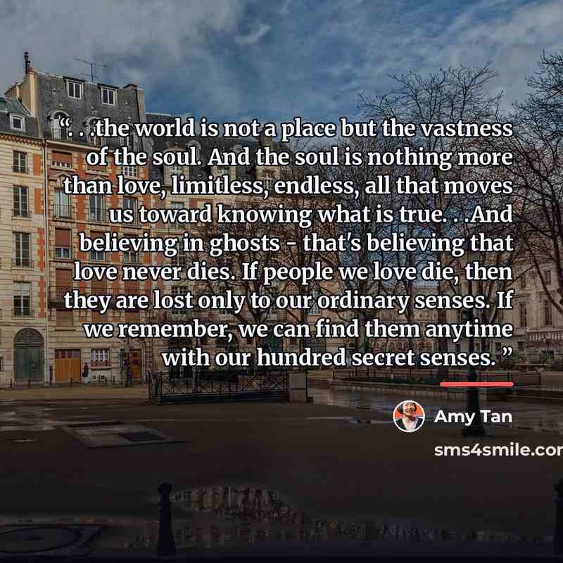 “. . .the world is not a place but the vastness of the soul. And the soul is nothing more than love, limitless, endless, all that moves us toward knowing what is true. . .And believing in ghosts - that's believing that love never dies. If people we love die, then they are lost only to our ordinary…” quote by Amy Tan