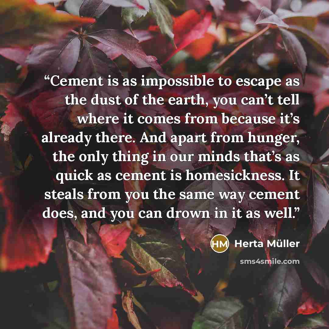 “Cement is as impossible to escape as the dust of the earth, you can’t tell where it comes from because it’s already there. And apart from hunger, the only thing in our minds that’s as quick as cement is homesickness. It steals from you the same way cement does, and you can drown in it as well.” quote by Herta Müller