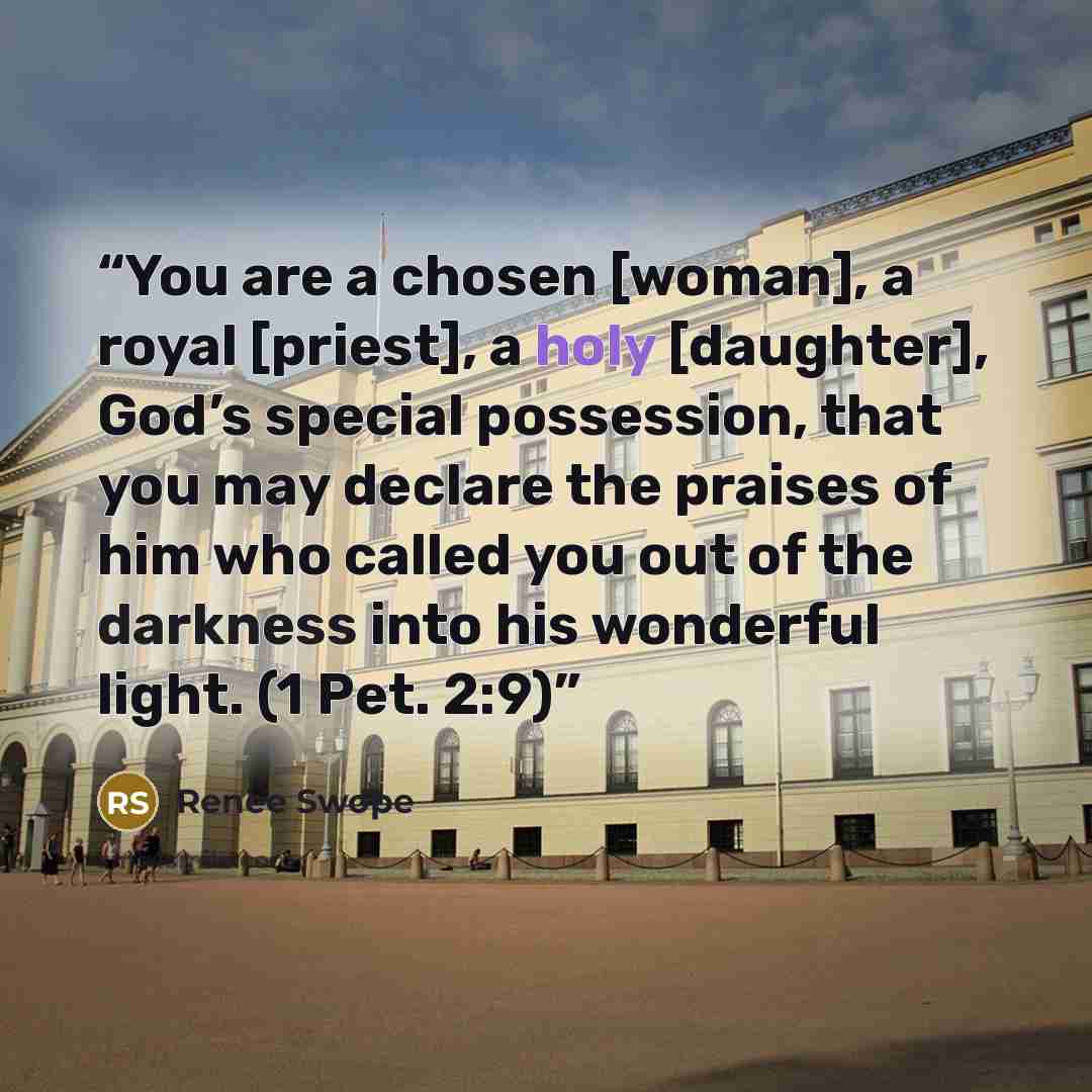 “You are a chosen [woman], a royal [priest], a holy [daughter], God’s special possession, that you may declare the praises of him who called you out of the darkness into his wonderful light. (1 Pet. 2:9)” quote by Renee Swope