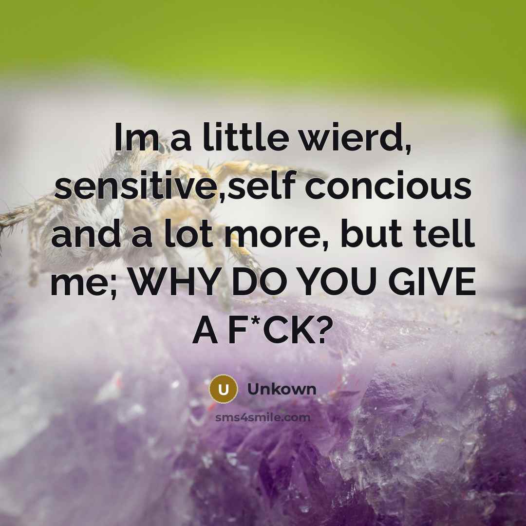 “Im a little wierd, sensitive,self concious and a lot more, but tell me; WHY DO YOU GIVE A F*CK?” quote by Unkown