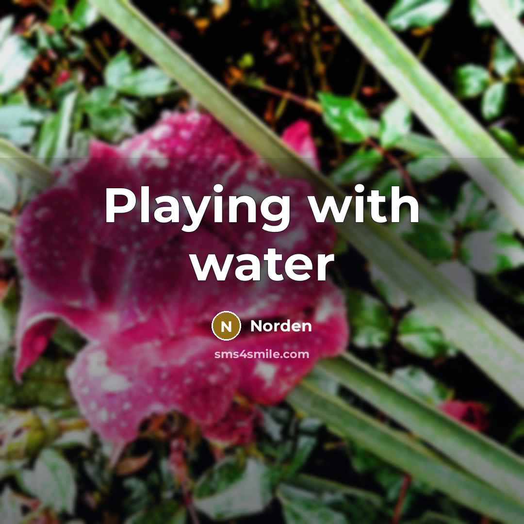 “Playing with water” quote by Norden