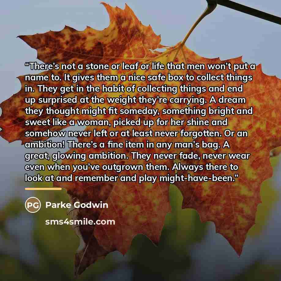 “There’s not a stone or leaf or life that men won’t put a name to. It gives them a nice safe box to collect things in. They get in the habit of collecting things and end up surprised at the weight they’re carrying. A dream they thought might fit someday, something bright and sweet like a woman…” quote by Parke Godwin