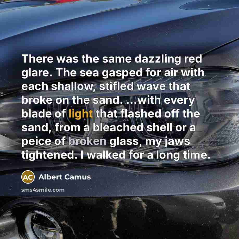 “There was the same dazzling red glare. The sea gasped for air with each shallow, stifled wave that broke on the sand. ...with every blade of light that flashed off the sand, from a bleached shell or a peice of broken glass, my jaws tightened. I walked for a long time.” quote by Albert Camus