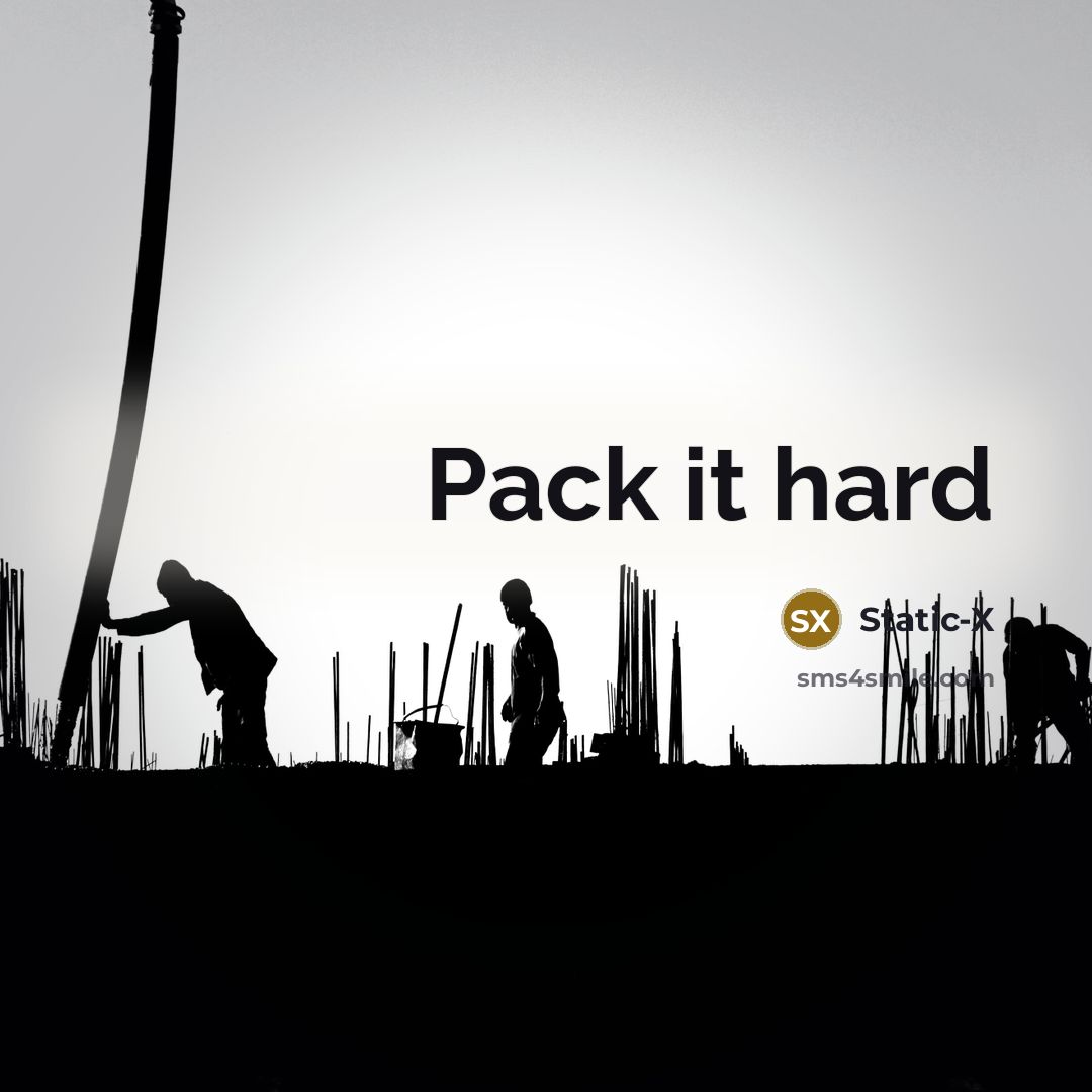 “Pack it hard” quote by Static-X