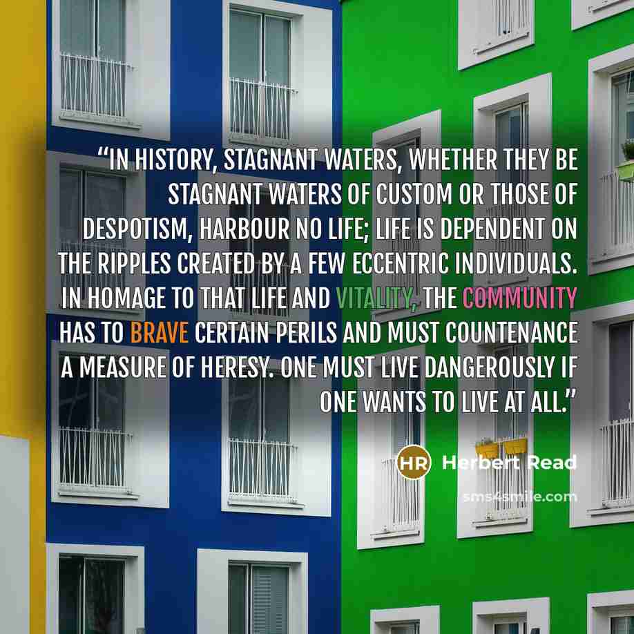 “In History, stagnant waters, whether they be stagnant waters of custom or those of despotism, harbour no life; life is dependent on the ripples created by a few eccentric individuals. In homage to that life and vitality, the community has to brave certain perils and must countenance a measure of…” quote by Herbert Read