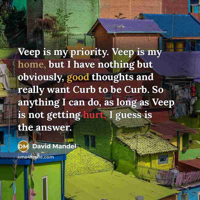 “Veep is my priority. Veep is my home, but I have nothing but obviously, good thoughts and really want Curb to be Curb. So anything I can do, as long as Veep is not getting hurt, I guess is the answer.” quote by David Mandel