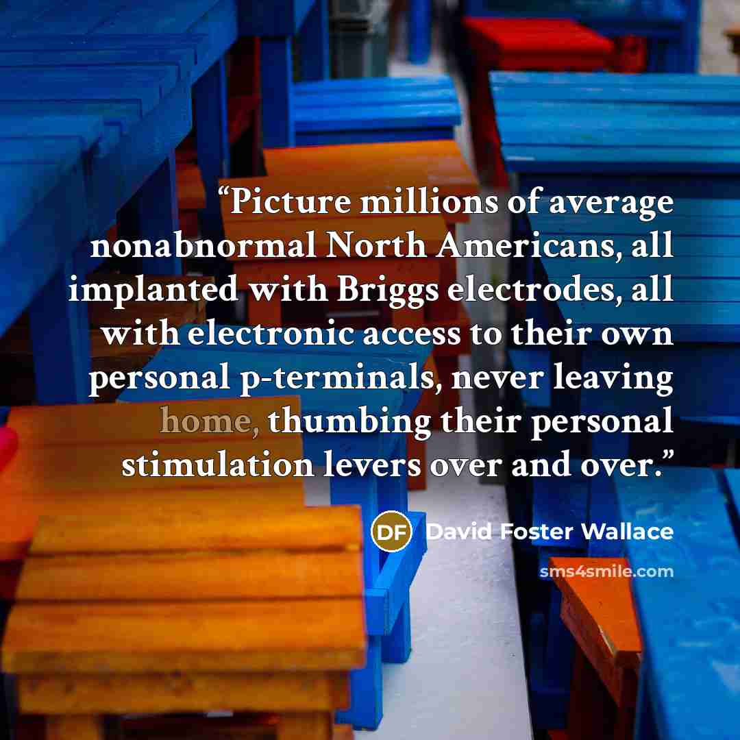 “Picture millions of average nonabnormal North Americans, all implanted with Briggs electrodes, all with electronic access to their own personal p-terminals, never leaving home, thumbing their personal stimulation levers over and over.” quote by David Foster Wallace