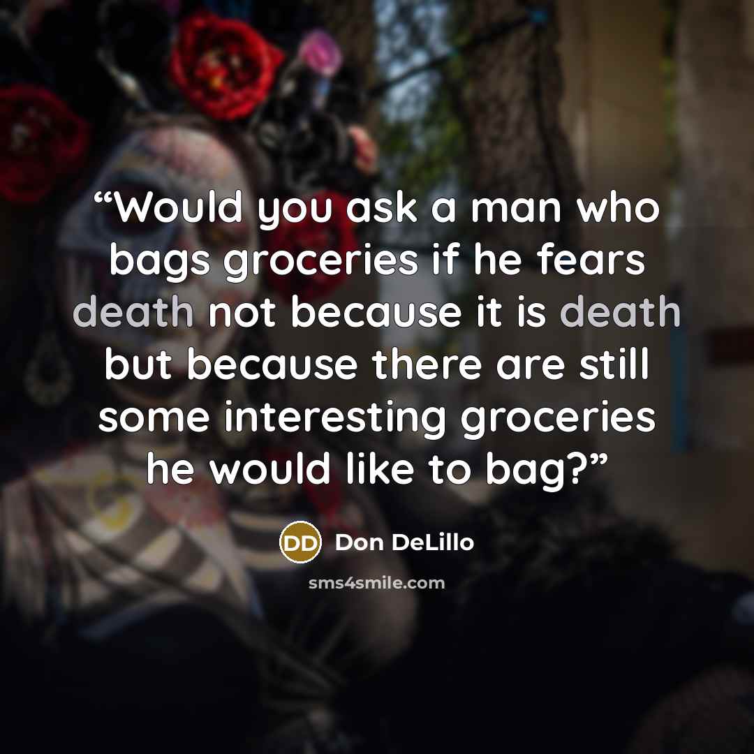 “Would you ask a man who bags groceries if he fears death not because it is death but because there are still some interesting groceries he would like to bag?” quote by Don DeLillo
