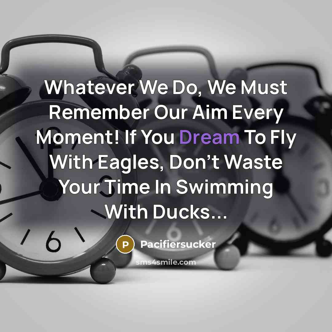 “Whatever We Do, We Must Remember Our Aim Every Moment! If You Dream To Fly With Eagles, Don't Waste Your Time In Swimming With Ducks...” quote by Pacifiersucker