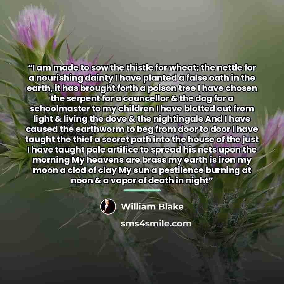 “I am made to sow the thistle for wheat; the nettle for a nourishing dainty I have planted a false oath in the earth, it has brought forth a poison tree I have chosen the serpent for a councellor & the dog for a schoolmaster to my children I have blotted out from light & living the dove & the…” quote by William Blake