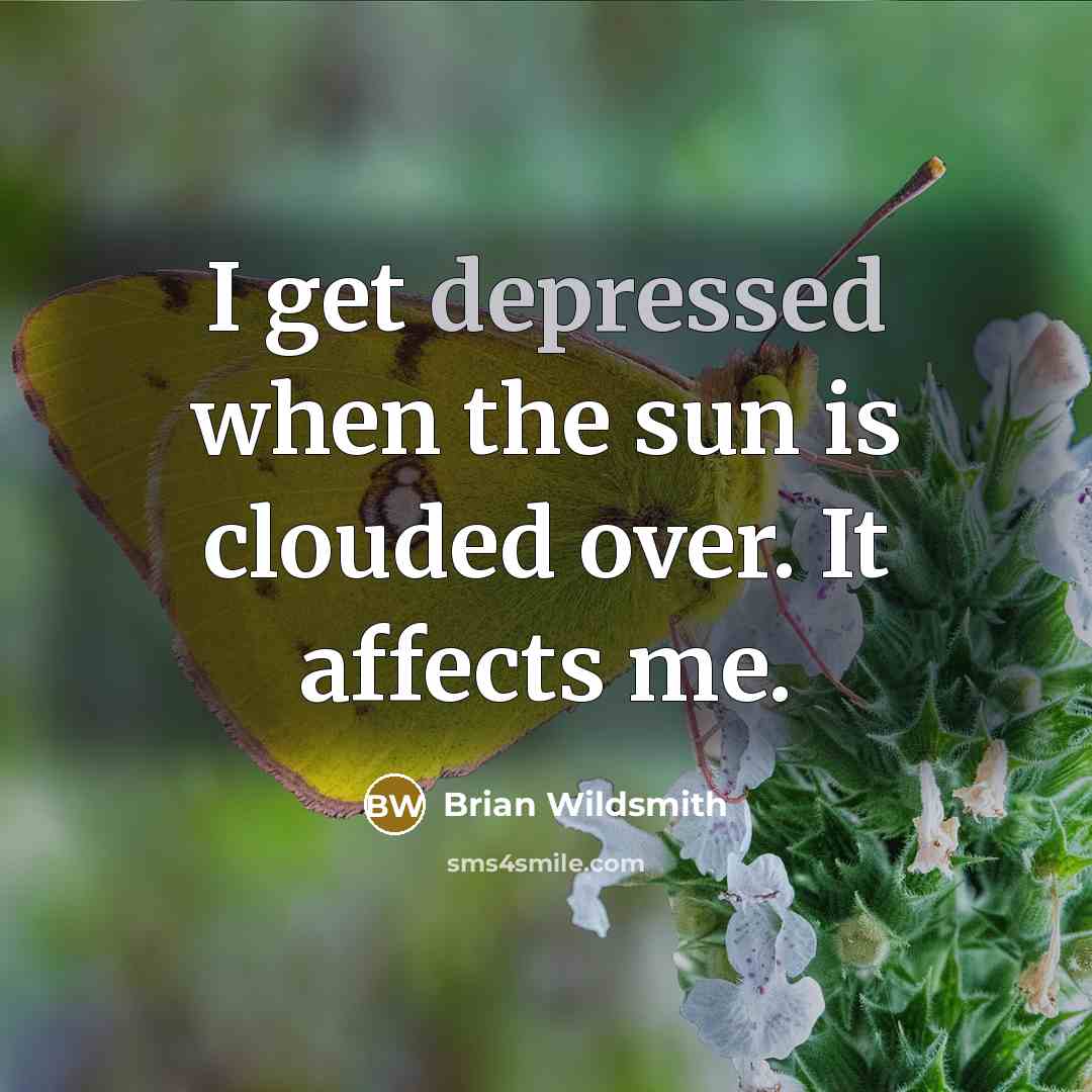 “I get depressed when the sun is clouded over. It affects me.” quote by Brian Wildsmith