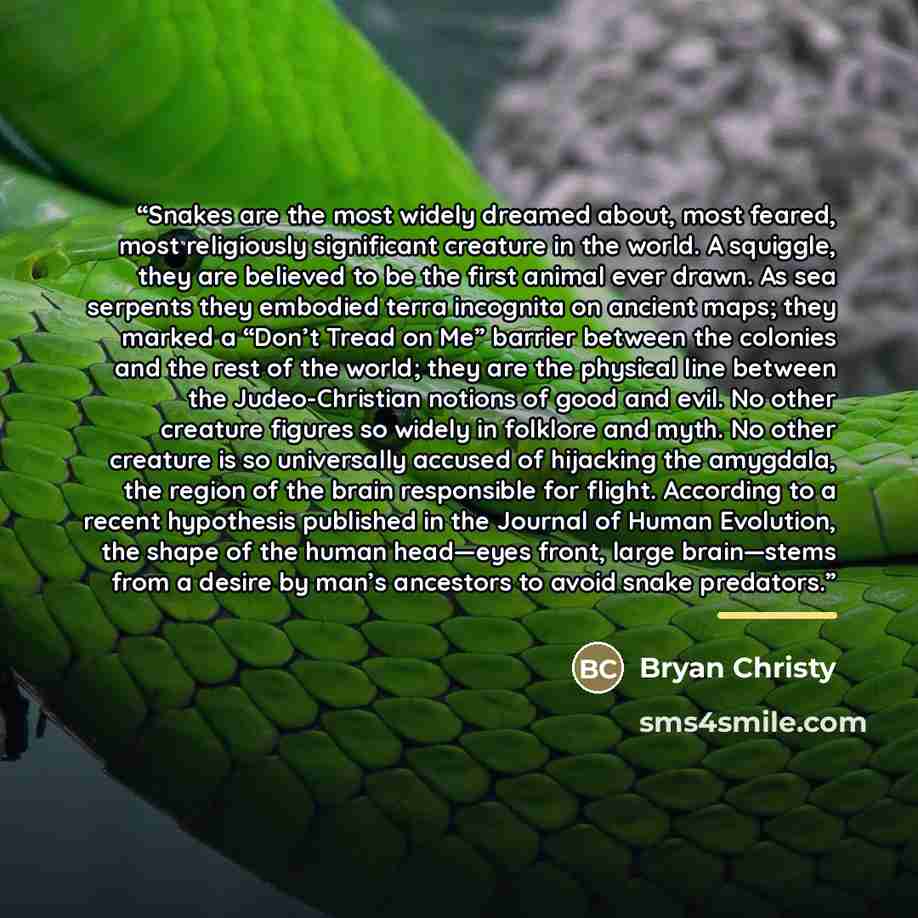 “Snakes are the most widely dreamed about, most feared, most religiously significant creature in the world. A squiggle, they are believed to be the first animal ever drawn. As sea serpents they embodied terra incognita on ancient maps; they marked a “Don’t Tread on Me” barrier between the colonies…” quote by Bryan Christy