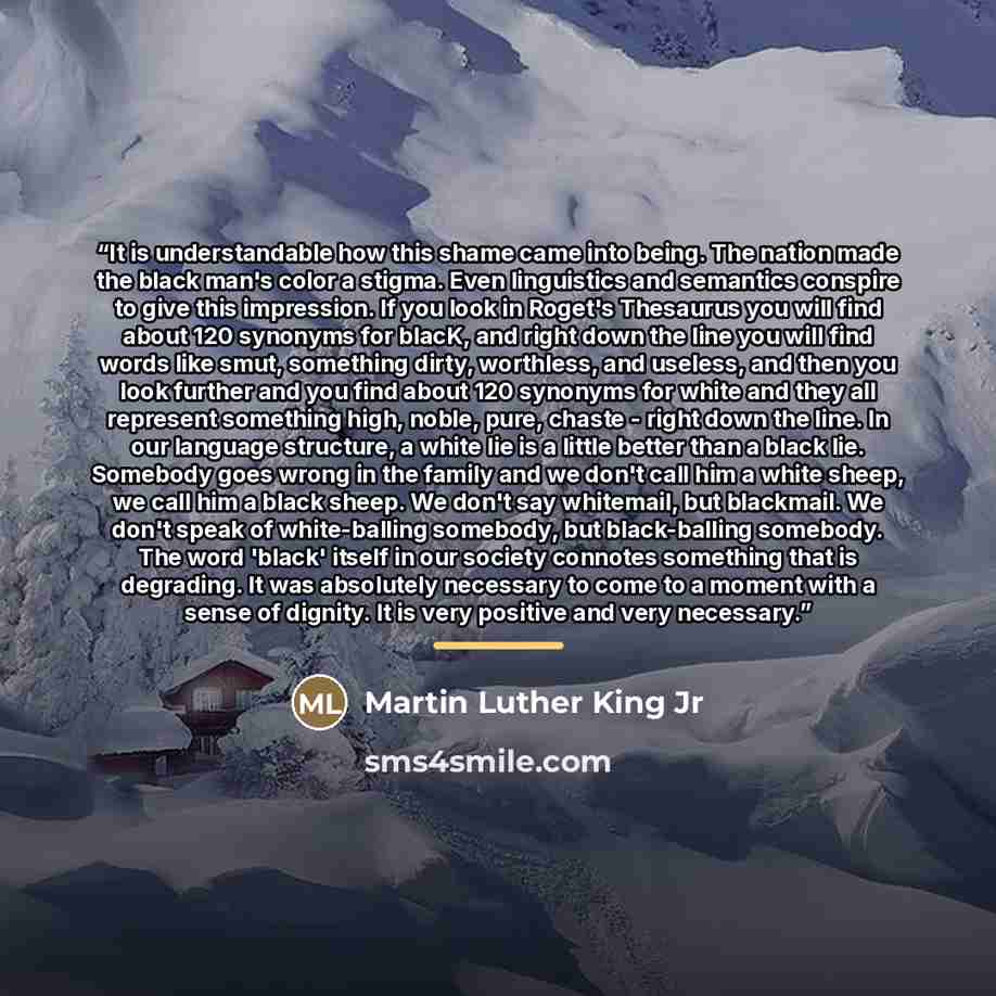 “It is understandable how this shame came into being. The nation made the black man's color a stigma. Even linguistics and semantics conspire to give this impression. If you look in Roget's Thesaurus you will find about 120 synonyms for blacK, and right down the line you will find words like smut…” quote by Martin Luther King Jr