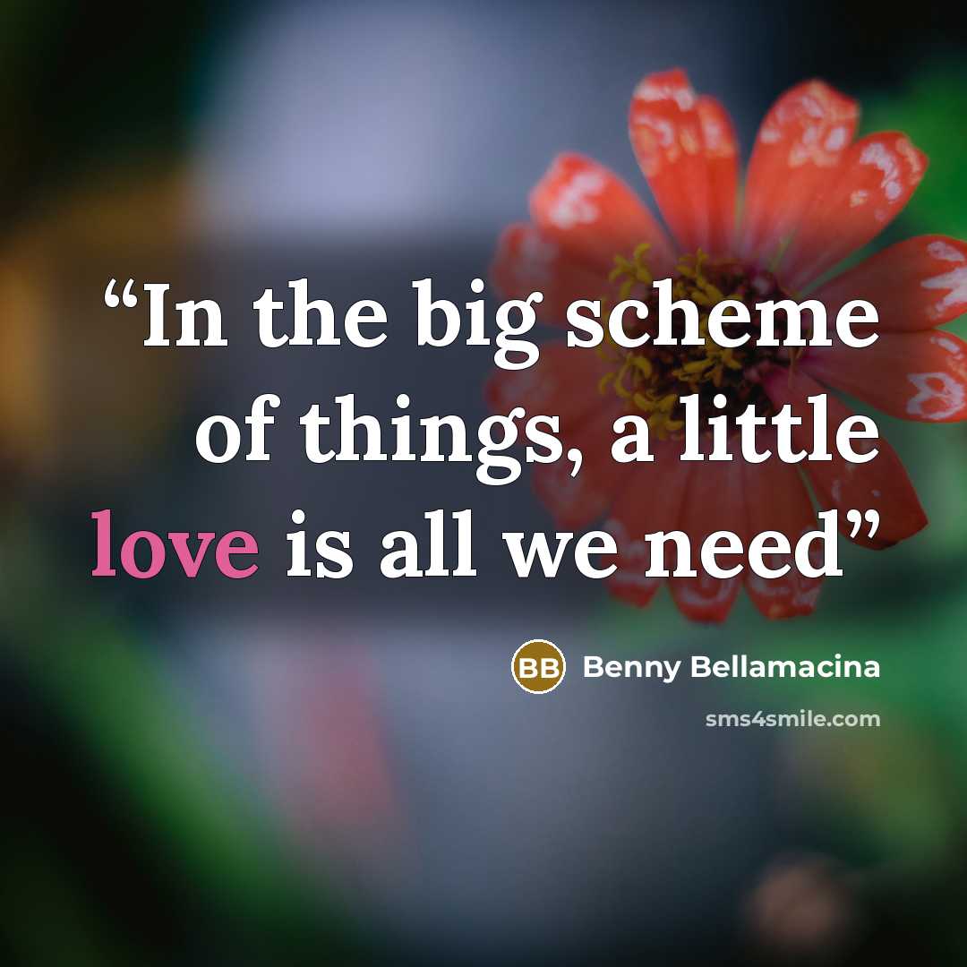 “In the big scheme of things, a little love is all we need” quote by Benny Bellamacina