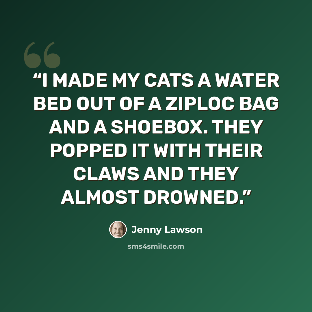 “I MADE MY CATS A WATER BED OUT OF A ZIPLOC BAG AND A SHOEBOX. THEY POPPED IT WITH THEIR CLAWS AND THEY ALMOST DROWNED.” quote by Jenny Lawson