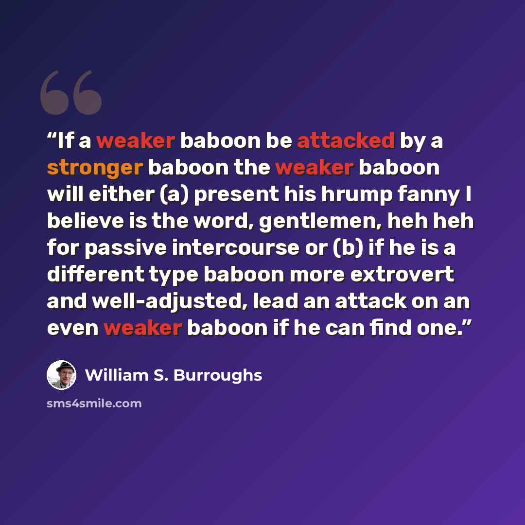 “If a weaker baboon be attacked by a stronger baboon the weaker baboon will either (a) present his hrump fanny I believe is the word, gentlemen, heh heh for passive intercourse or (b) if he is a different type baboon more extrovert and well-adjusted, lead an attack on an even weaker baboon if he…” quote by William S. Burroughs
