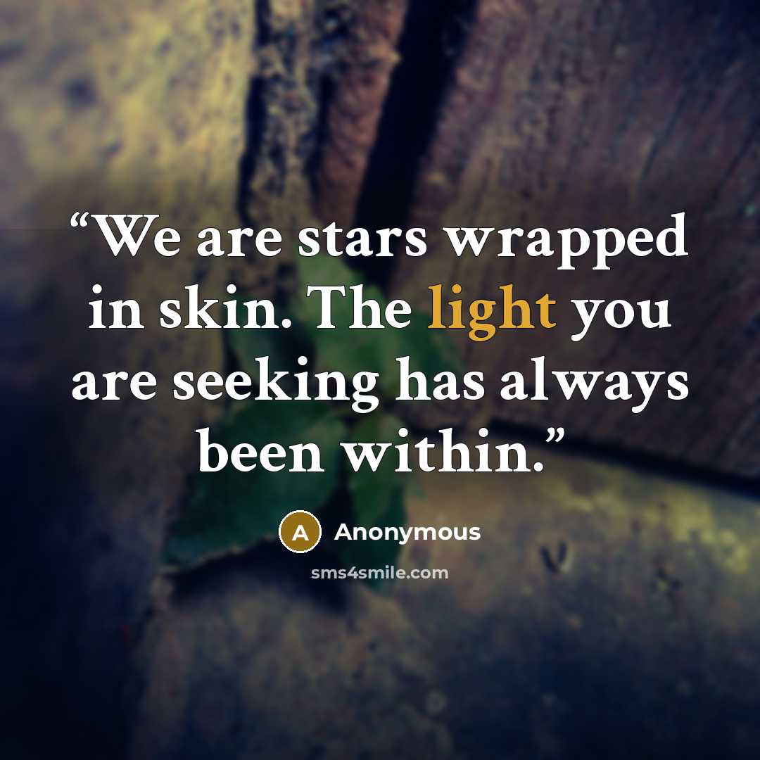 “We are stars wrapped in skin. The light you are seeking has always been within.” quote by Anonymous