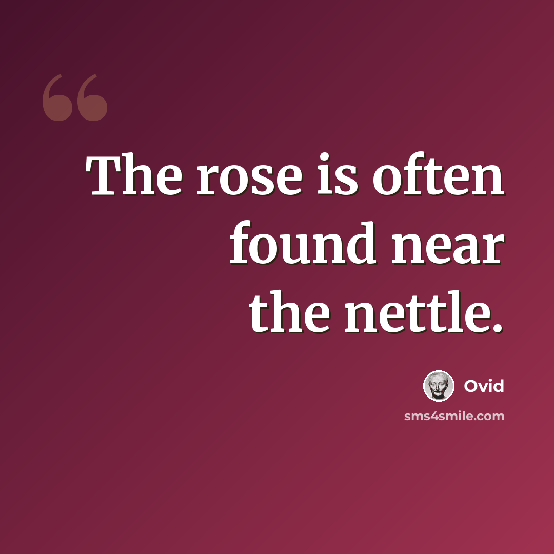“The rose is often found near the nettle.” quote by Ovid
