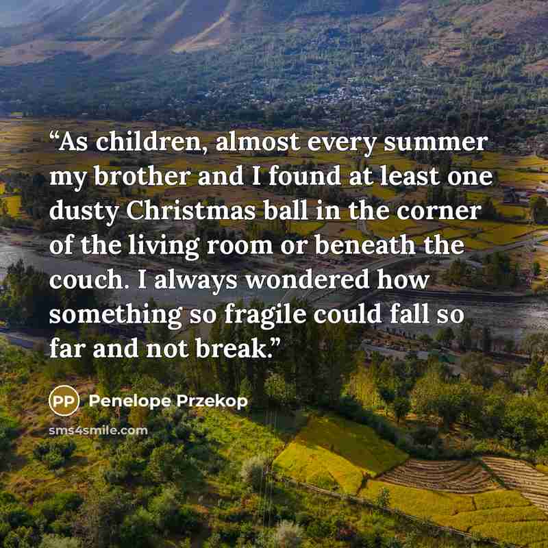 “As children, almost every summer my brother and I found at least one dusty Christmas ball in the corner of the living room or beneath the couch. I always wondered how something so fragile could fall so far and not break.” quote by Penelope Przekop