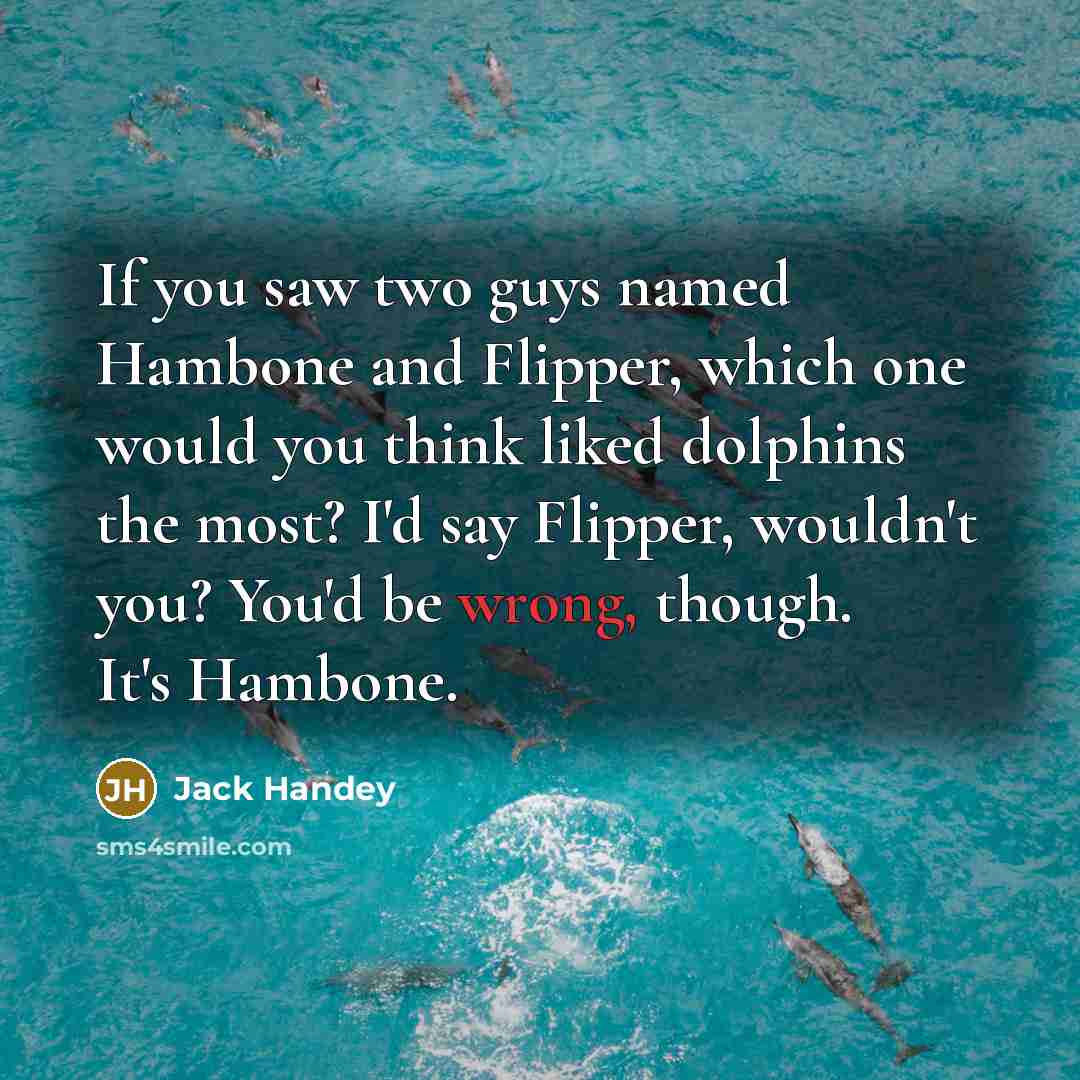 “If you saw two guys named Hambone and Flipper, which one would you think liked dolphins the most? I'd say Flipper, wouldn't you? You'd be wrong, though. It's Hambone.” quote by Jack Handey