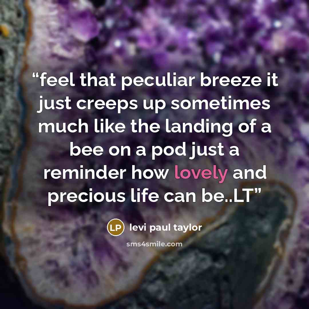 “feel that peculiar breeze it just creeps up sometimes much like the landing of a bee on a pod just a reminder how lovely and precious life can be..LT” quote by levi paul taylor