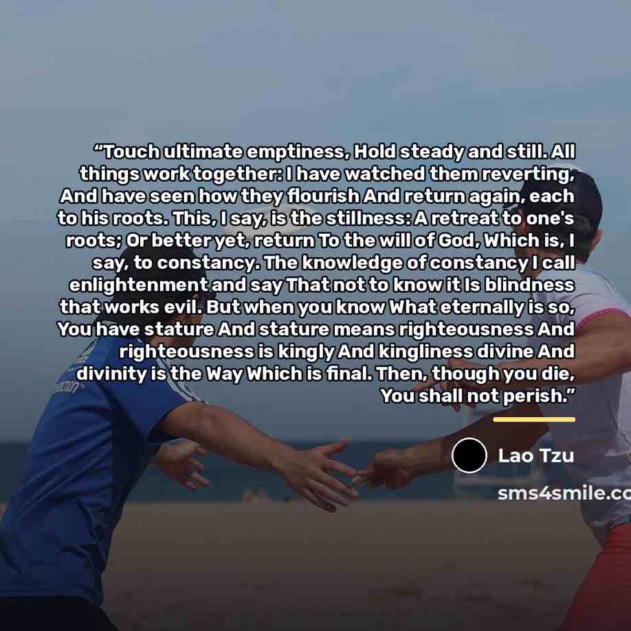 “Touch ultimate emptiness, Hold steady and still. All things work together: I have watched them reverting, And have seen how they flourish And return again, each to his roots. This, I say, is the stillness: A retreat to one's roots; Or better yet, return To the will of God, Which is, I say, to…” quote by Lao Tzu